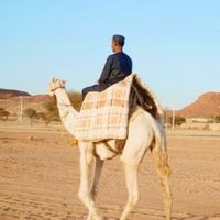bouyebri_0