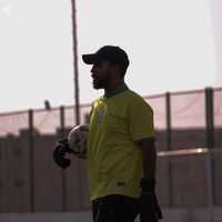 الصوت الأصلي