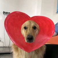 เสียงต้นฉบับ - เด็กวัด😎