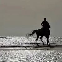 هاني الرويلي