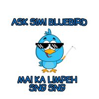 original sound - Bluebird Confessions