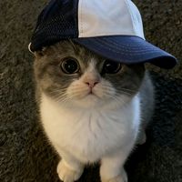 suara asli - jaà