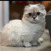 yumilin_3012