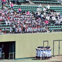 shino.baseball