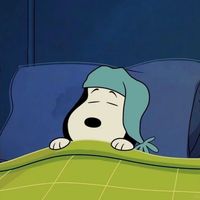 nhạc nền - Đinh Tấn Phúc 🕊️