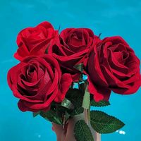 kdcjiiiufrfcbnmiawr7900