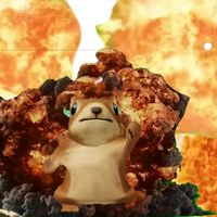 cocomastercocomelonninja