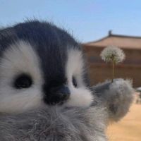 littlezi3