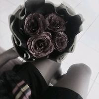 eyesmale_0453