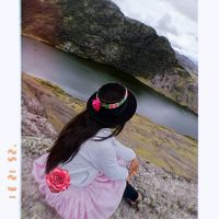 .rosa559