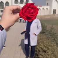 medico_captures