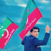 bajaur252