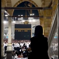reemahmed616