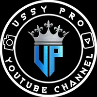 original sound - ussy.channel