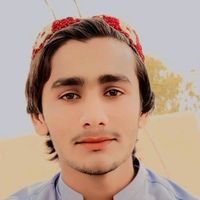 hsgull1
