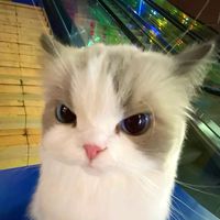 phatthawadi._22