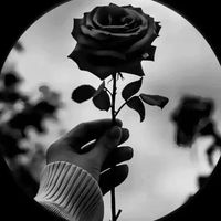 .melany.alizon