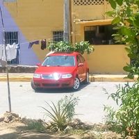 antr1999