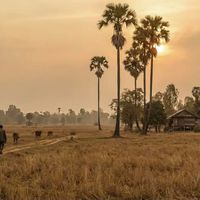 សំឡេងដើម - VR Song