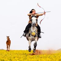 الصوت الأصلي