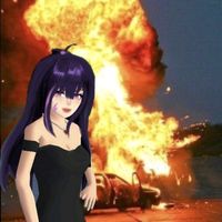 prttysaeii