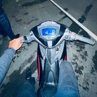 bunyi asal - Burung tak bersayap