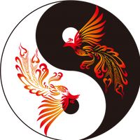 オリジナル楽曲 - 国道20号CH