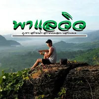 original sound - palaeview