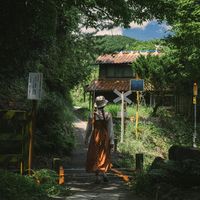 オリジナル楽曲 - セミ