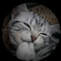 joshsheng2