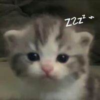 原創音樂