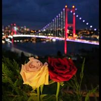love_istanbull