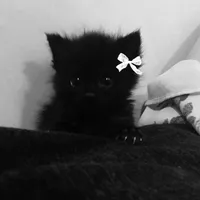 original sound - mk_suka