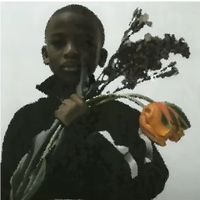 bomohammed81