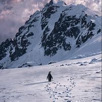 solitarian_5