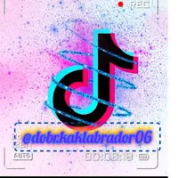 original sound - mylife_myrules116