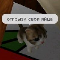 оригинальный звук - Тиша и Стеша🌿