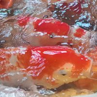 nhạc nền - ah tệ quá
