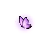 soft_music_4