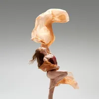 original sound - dammevudao