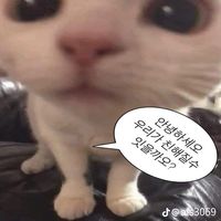 ahhyeon_0115
