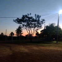 ssecreetfioore