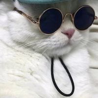suara asli - Bamsky🔥🔥🔥