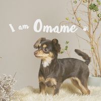 omamechangram