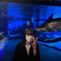 오리지널 사운드 - 음정이 부계