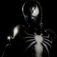 spider.music11
