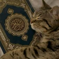 ikhlas899