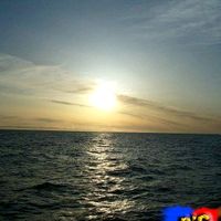 orijinal səs