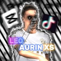 itz_aurin10