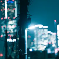 original sound - user8trurm6d5z